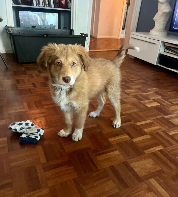 Billy