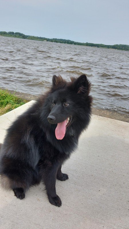 Loki