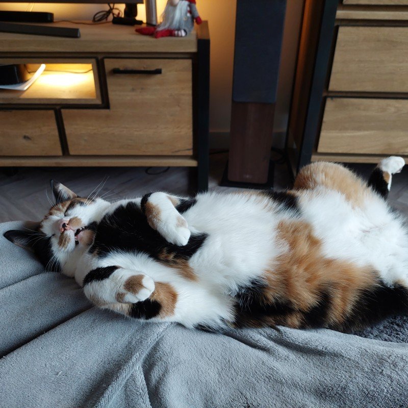 Luna