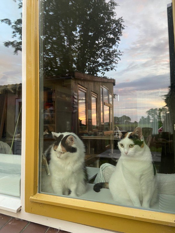 Lottje