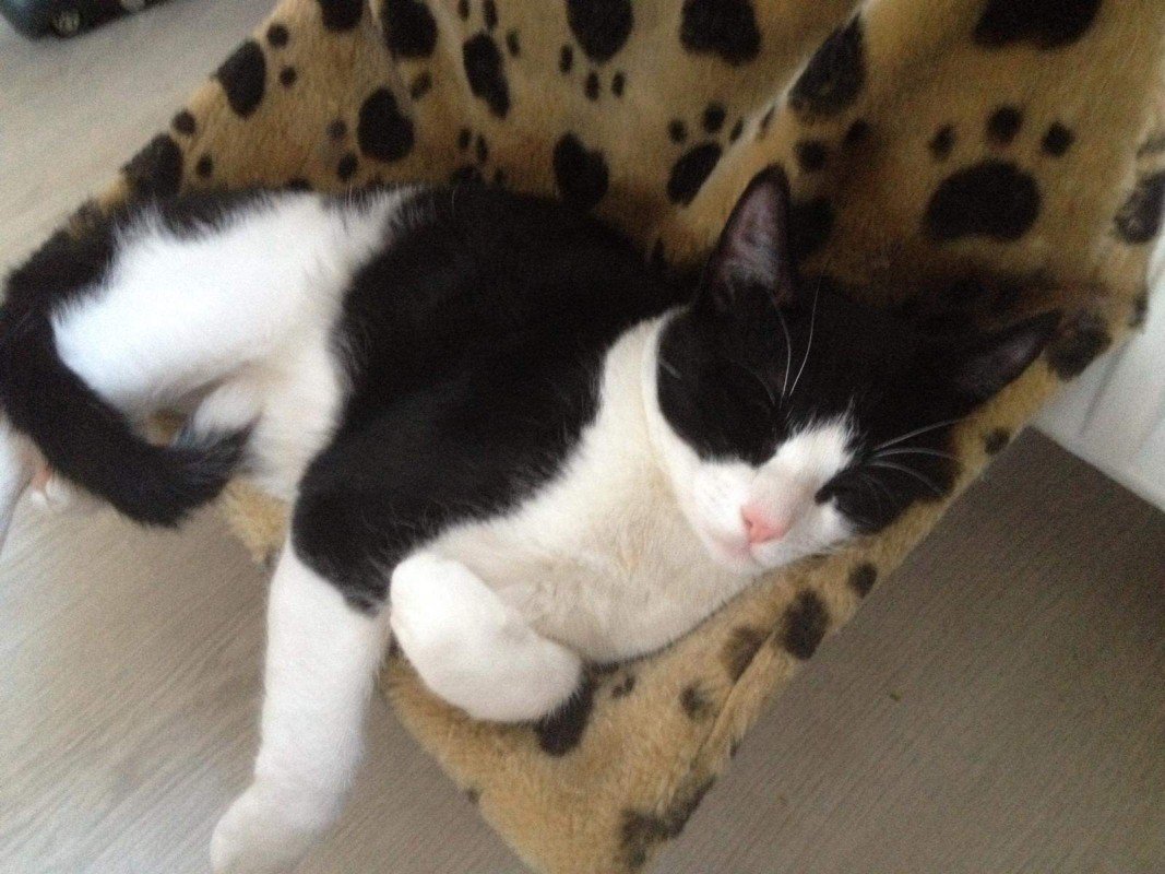 *SPOED* Aagje + Evert