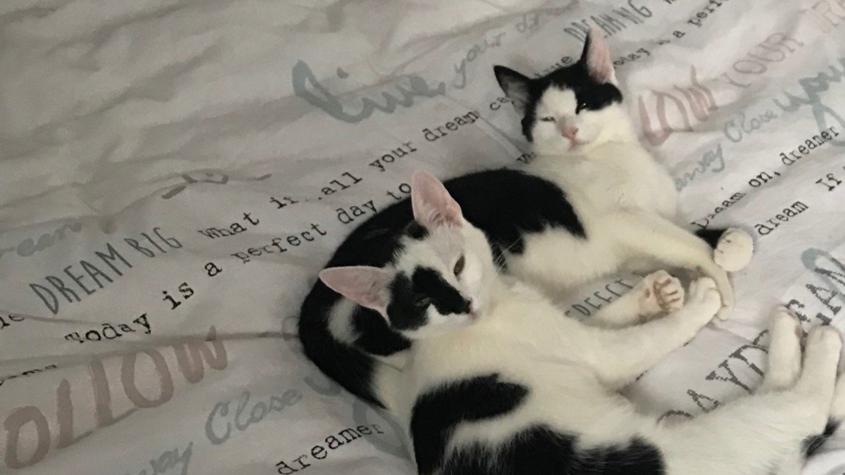 Precious