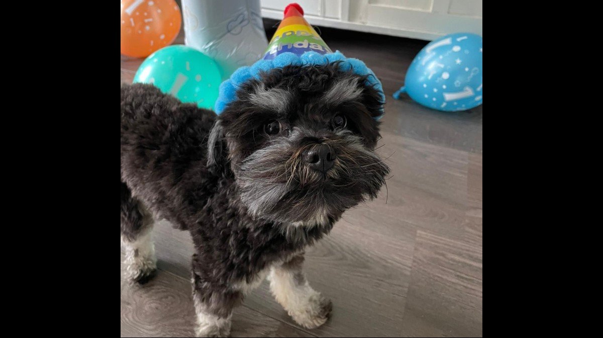 Balou