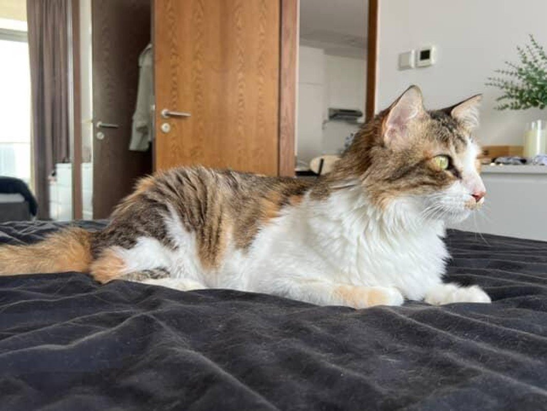 Cleopatra