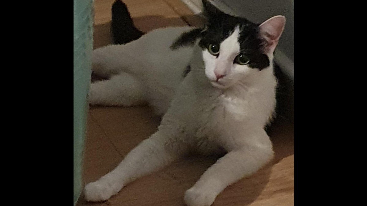 Jackson