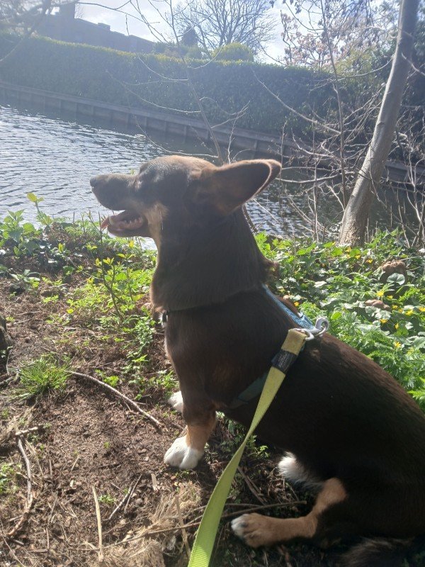 Chester