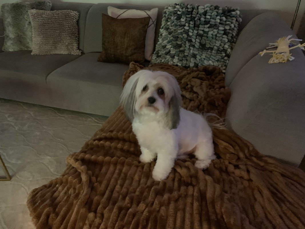 Harvey