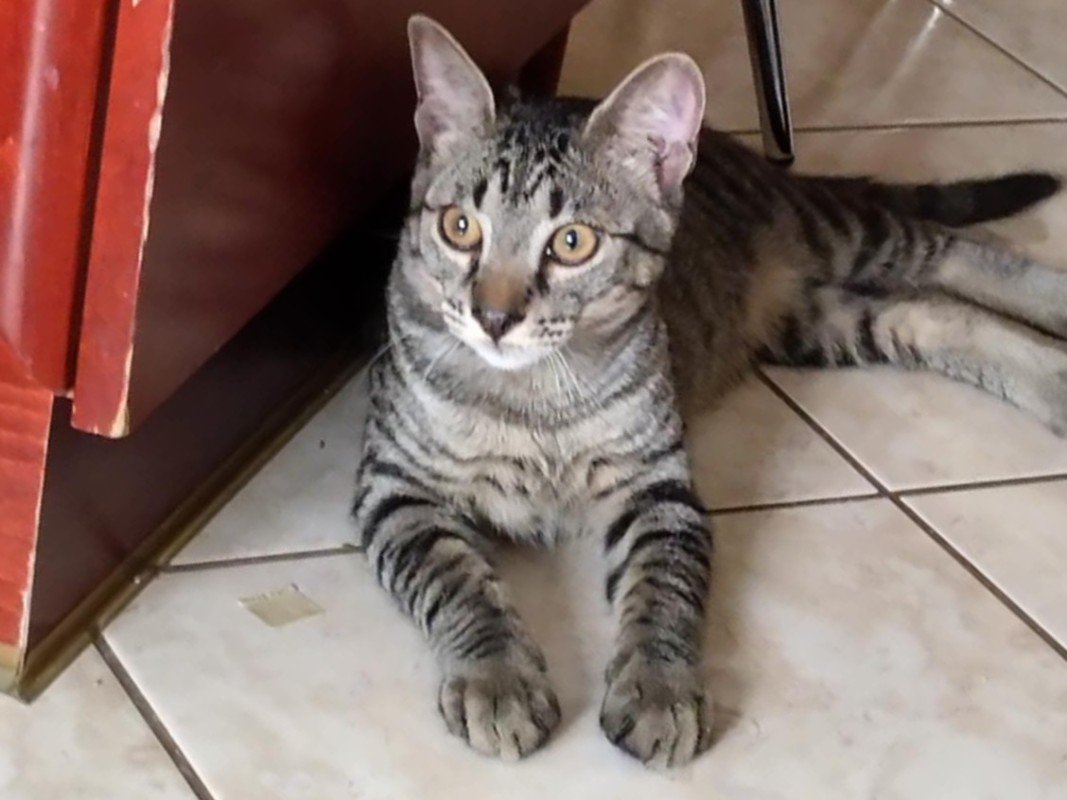 Huan