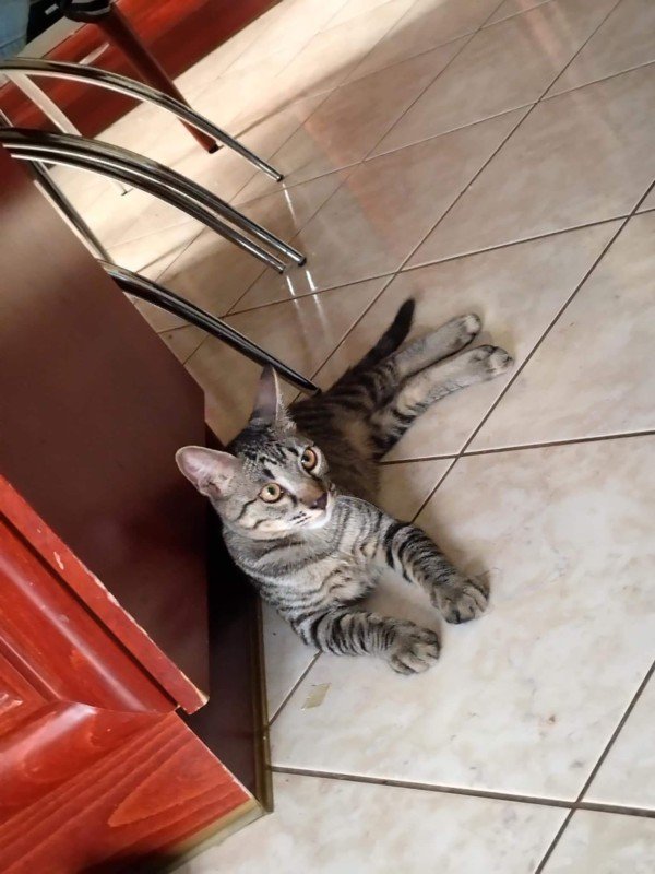 Huan