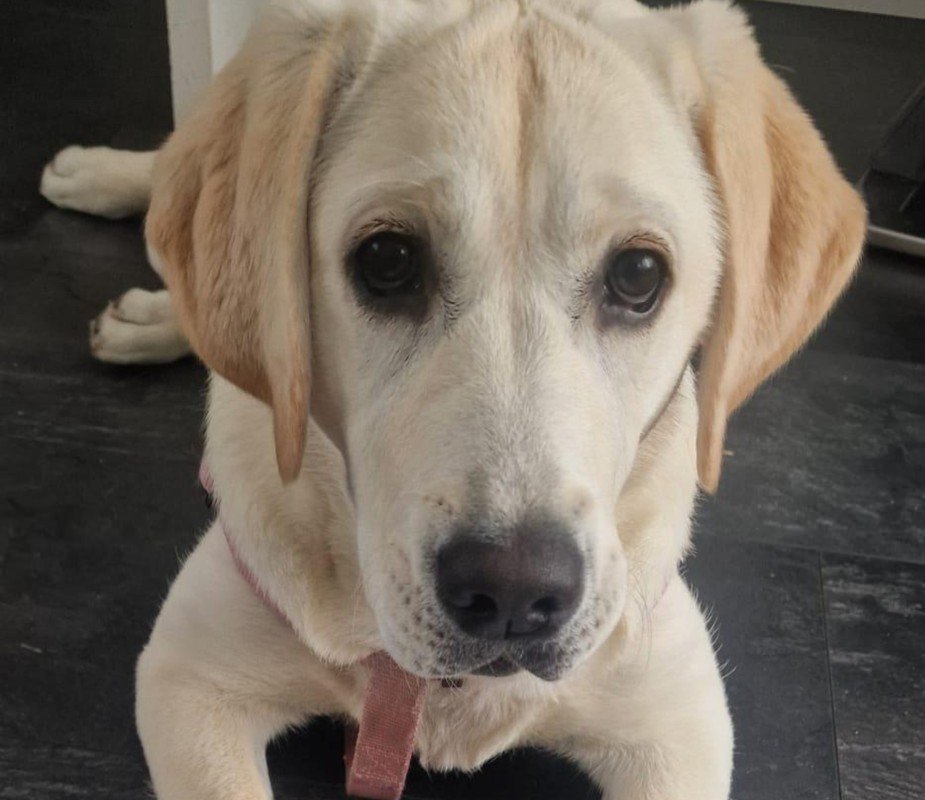 Ella