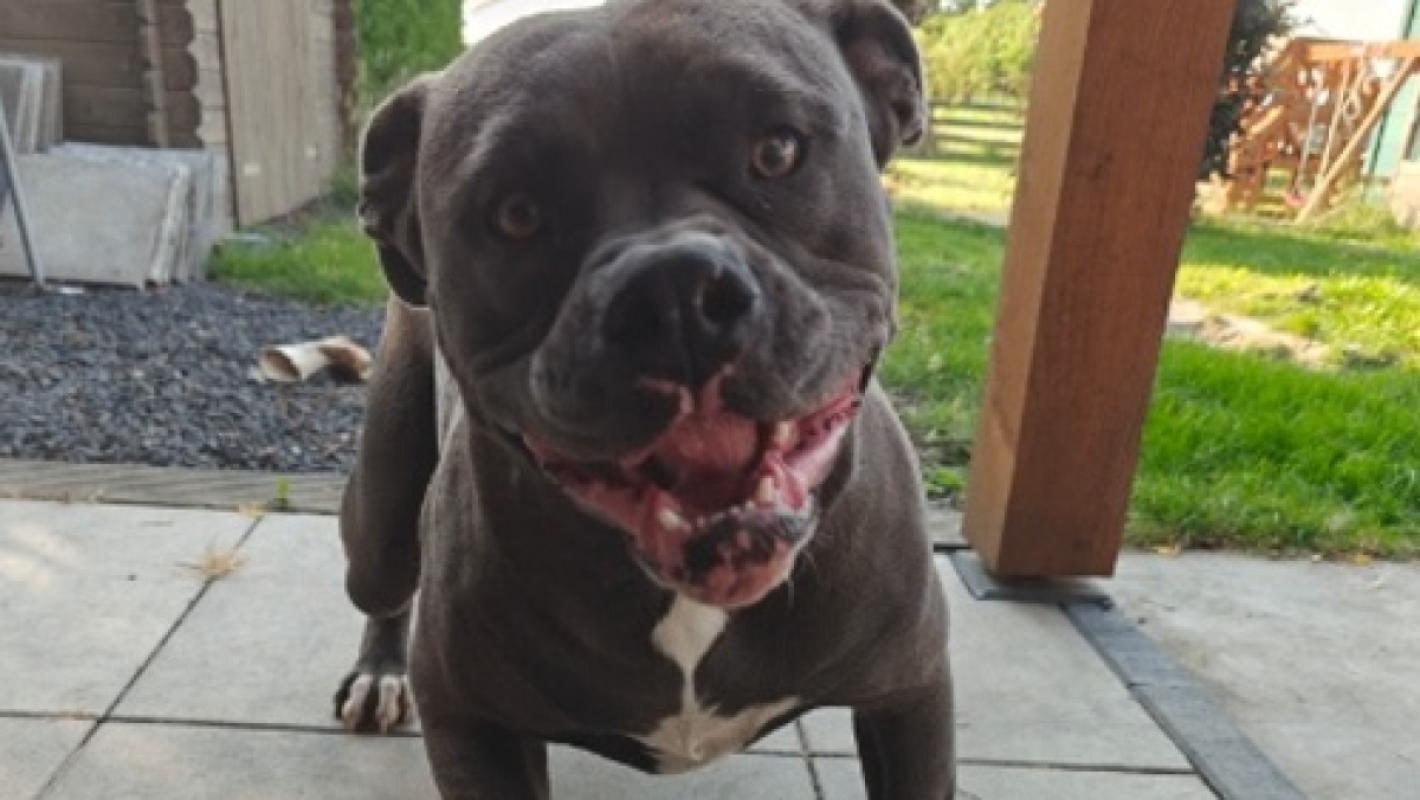 Odin