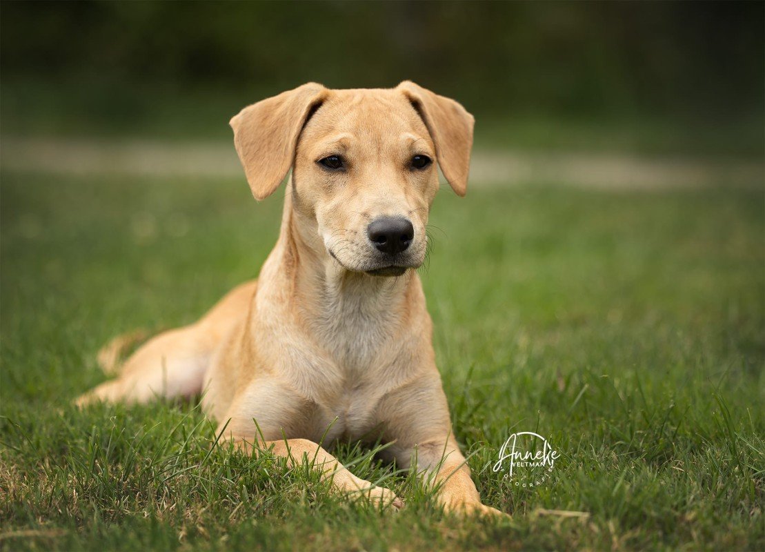Missie