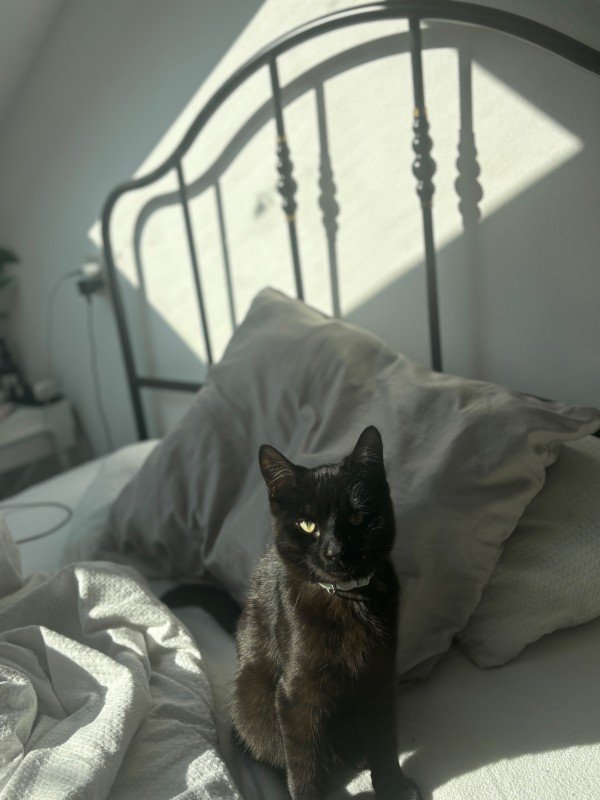 Archie