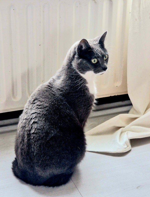 Luna