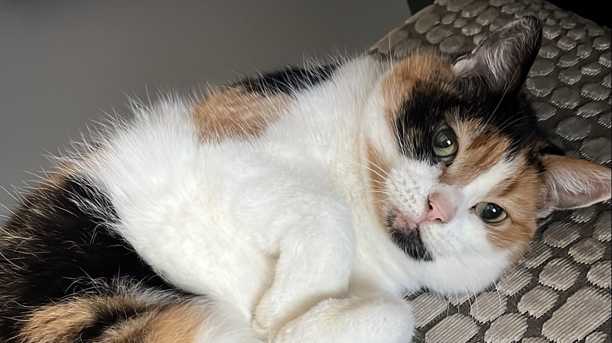 Luna