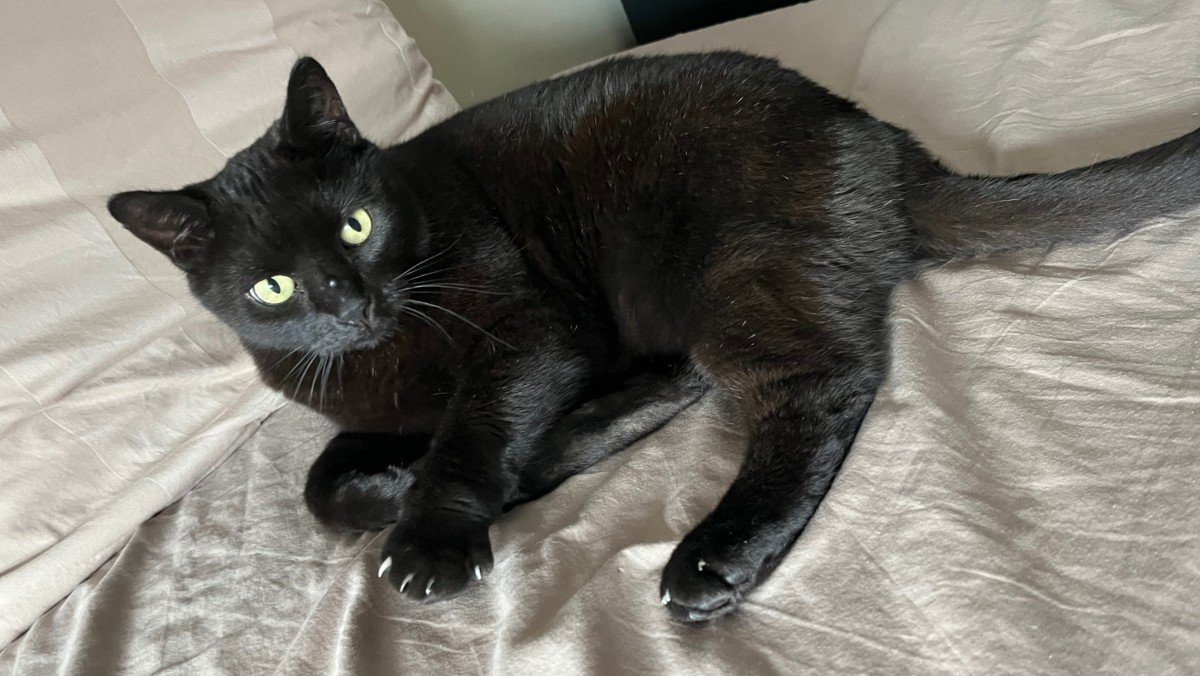 Pablo