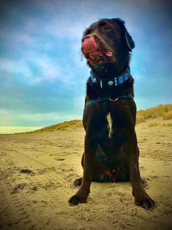 Rico