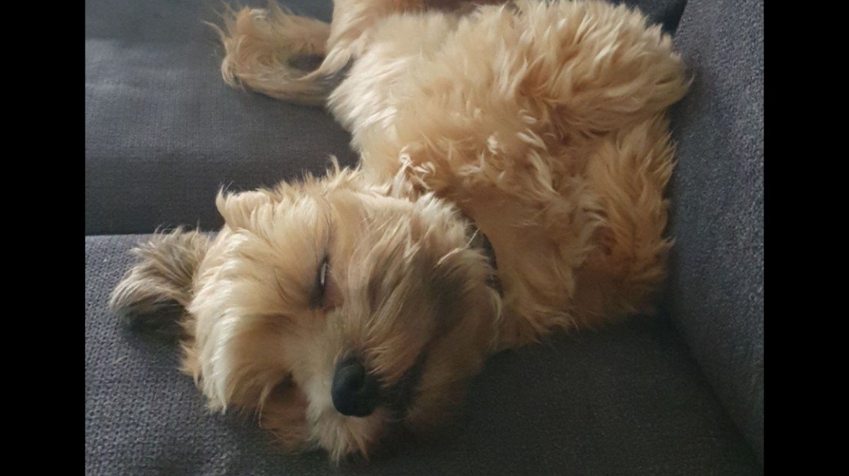 Riley