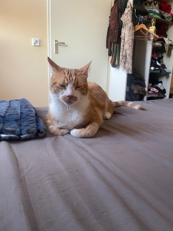 Nuki
