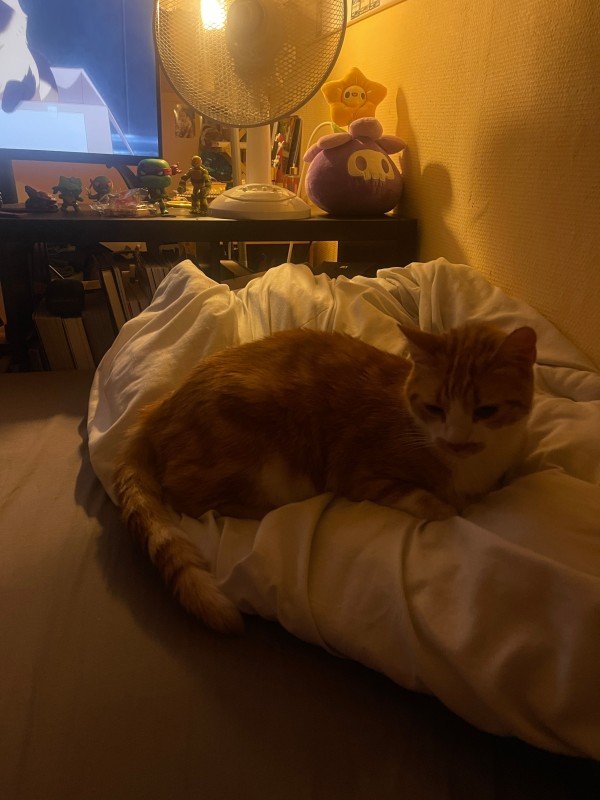 Nuki