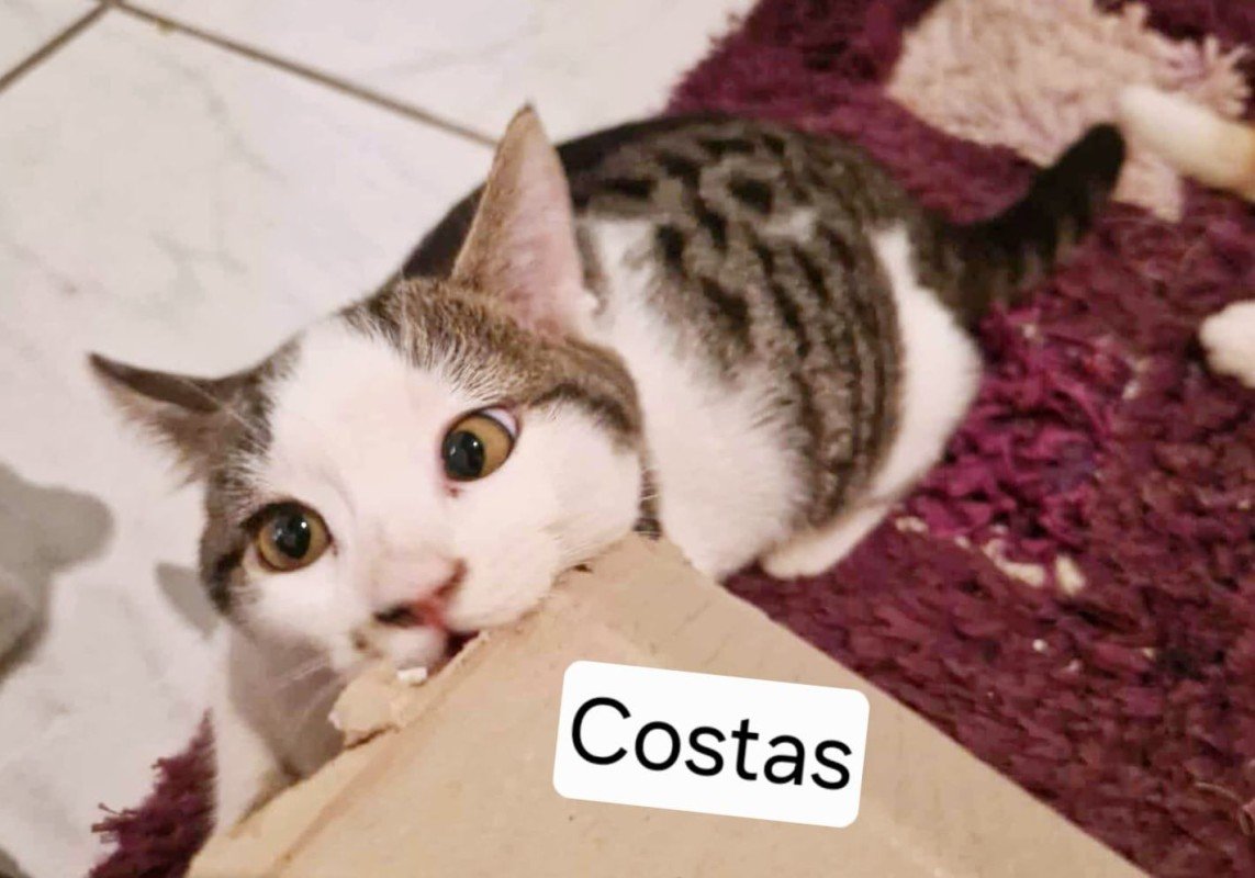Costas