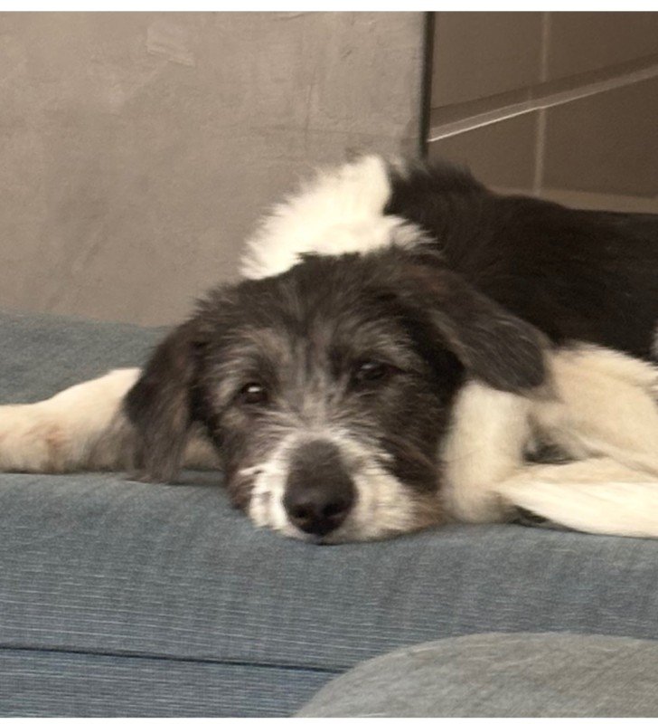Xena