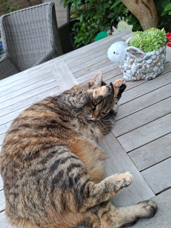 Pixel