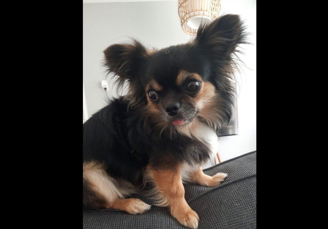Tyson