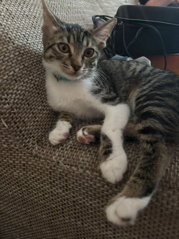 Suzie