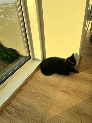 Blacky