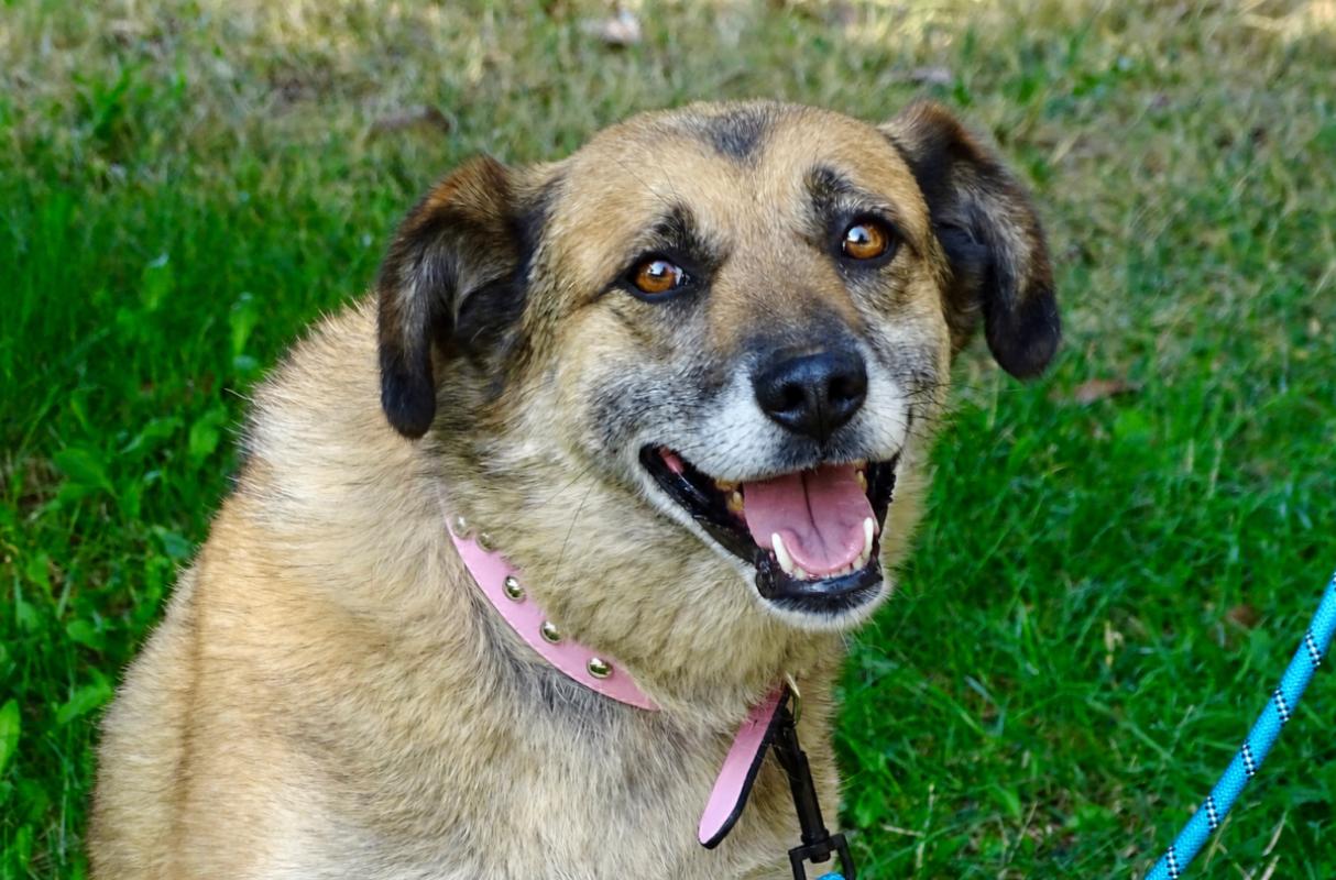 Nala