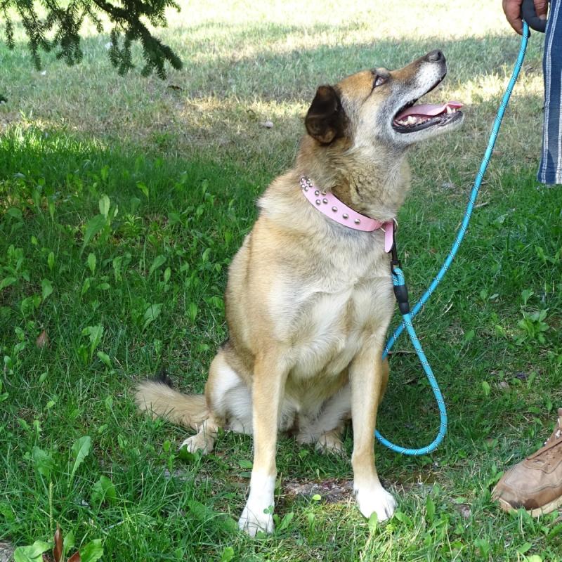 Nala