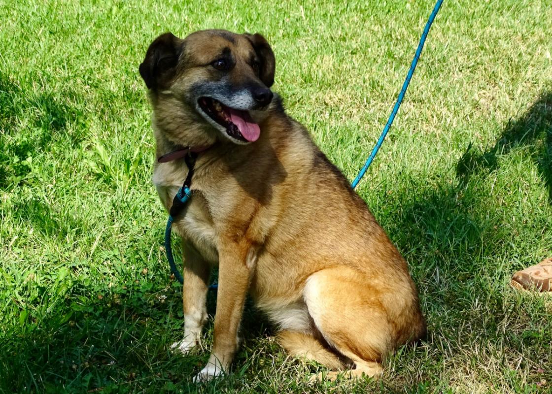 Nala