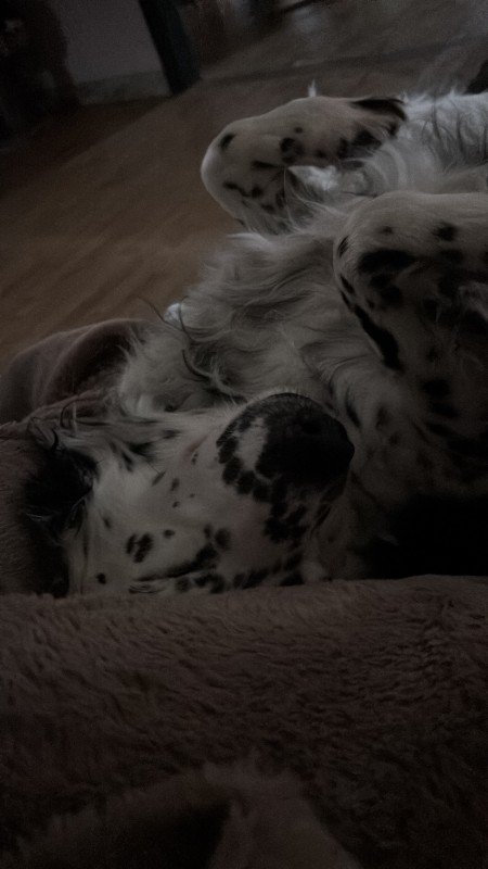 Milow
