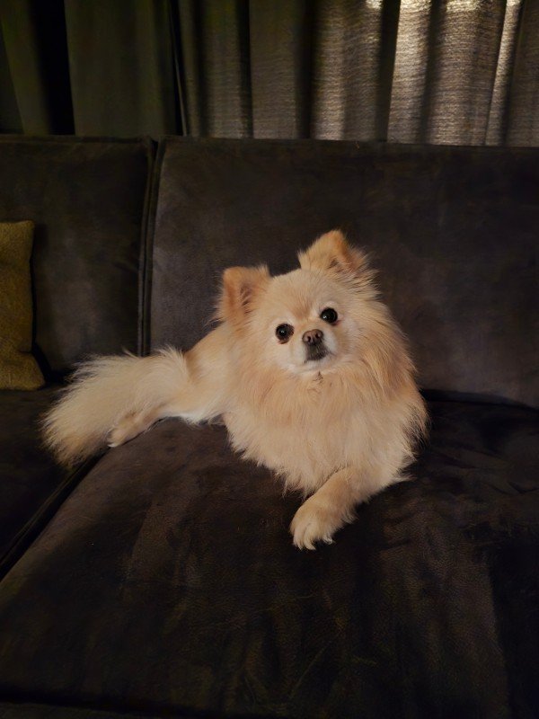 Bailey
