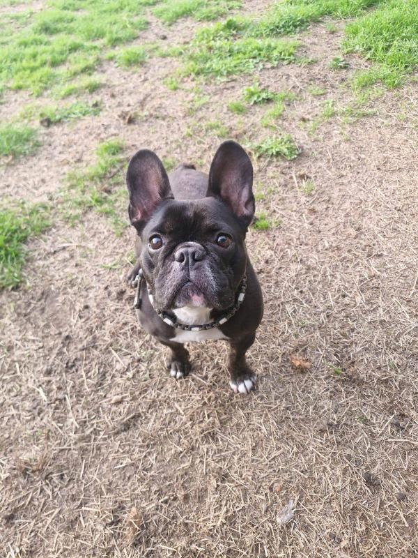 Bella