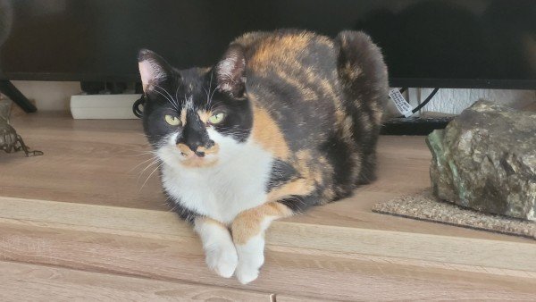 *SPOED* Mexie