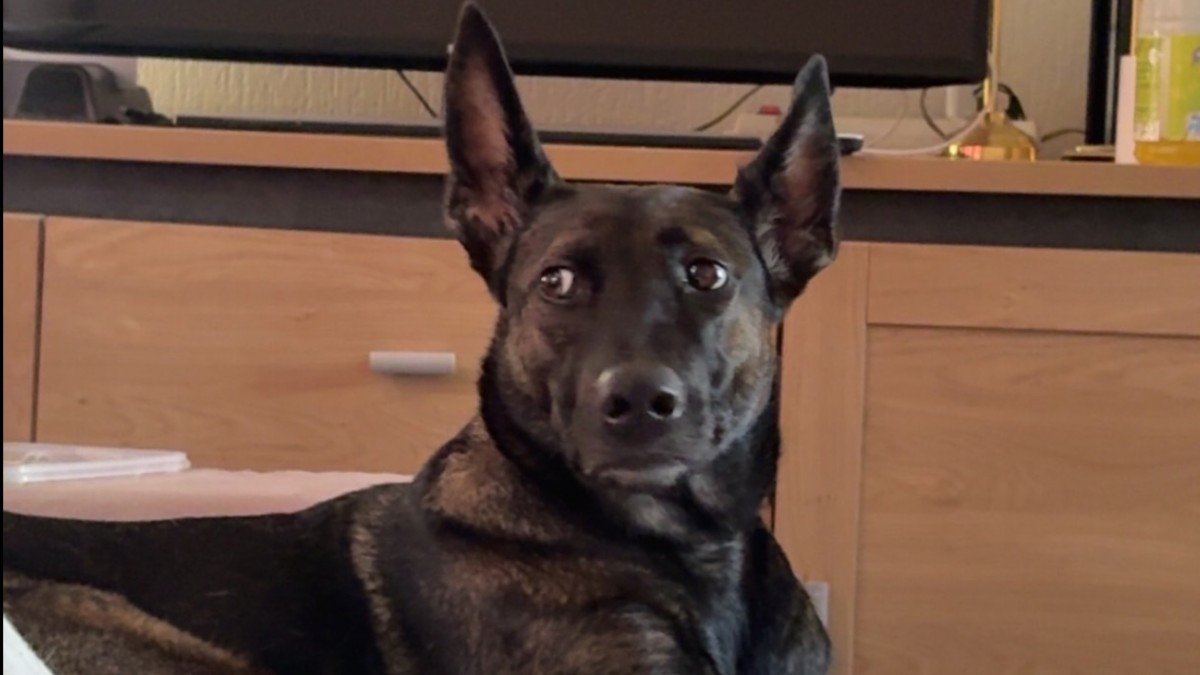 Chloè