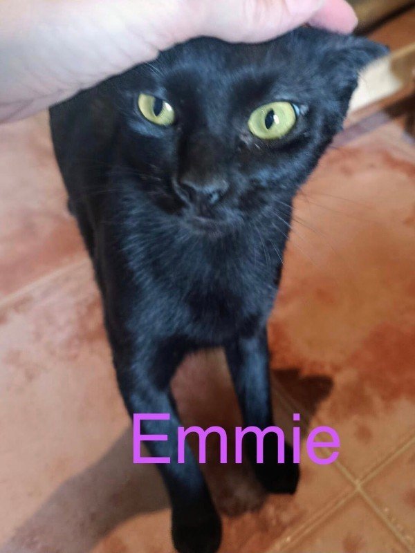 Emmie