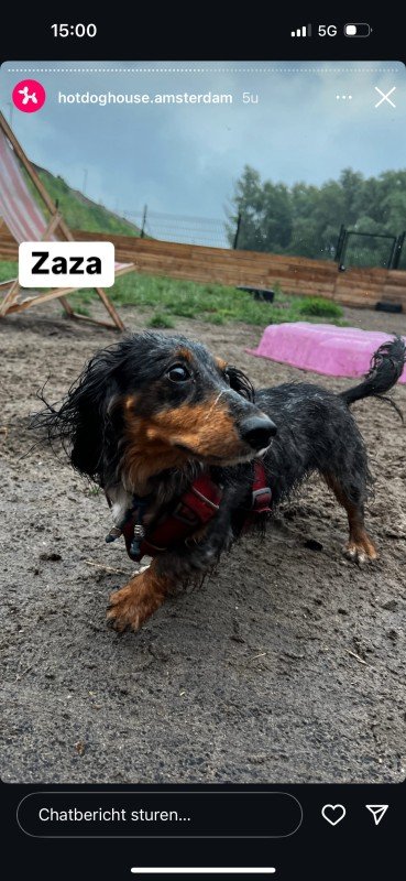 Zaza