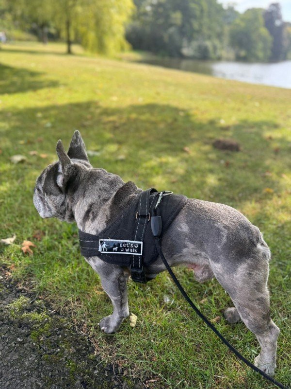 Pablo