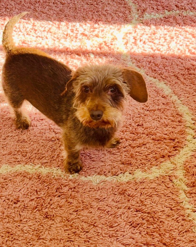 Coco