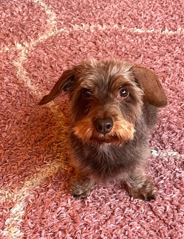Coco