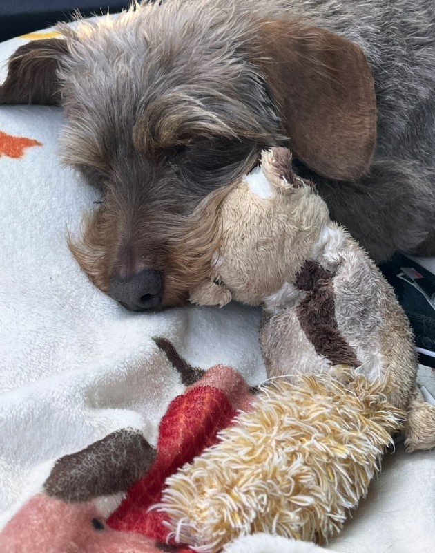 Coco