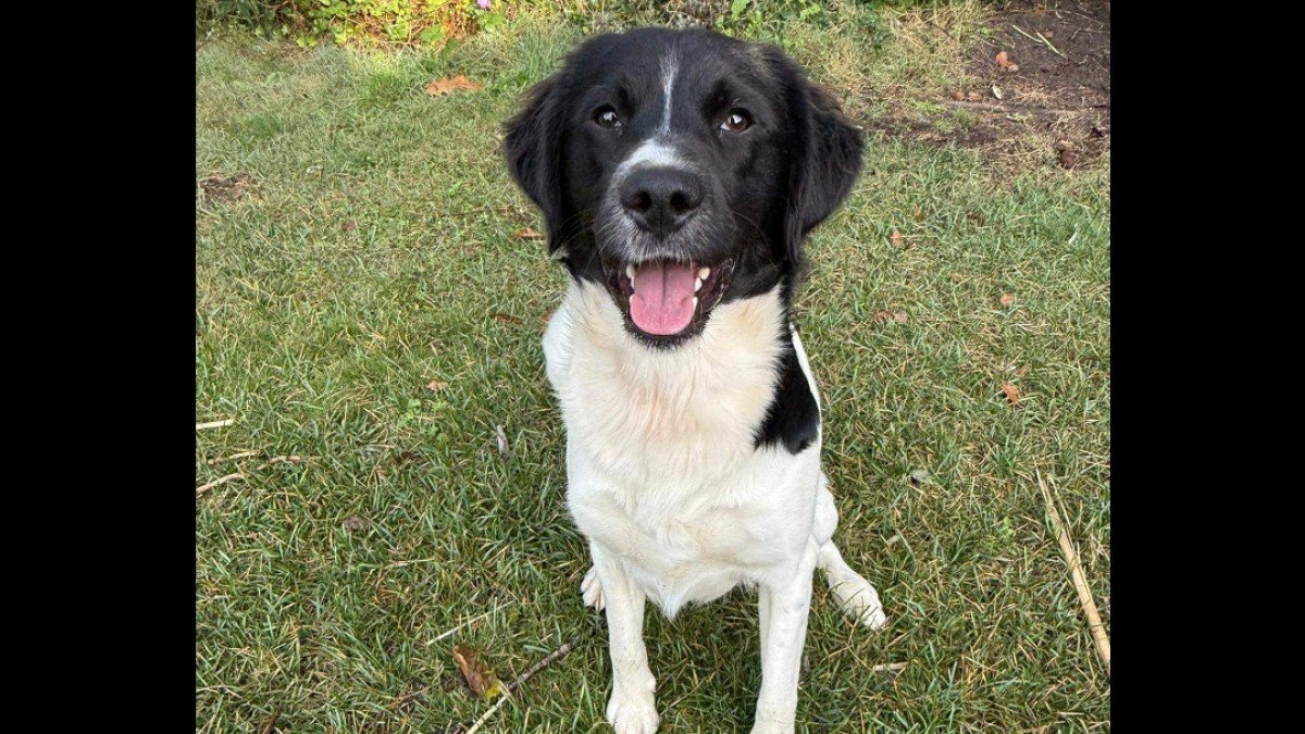 Luca