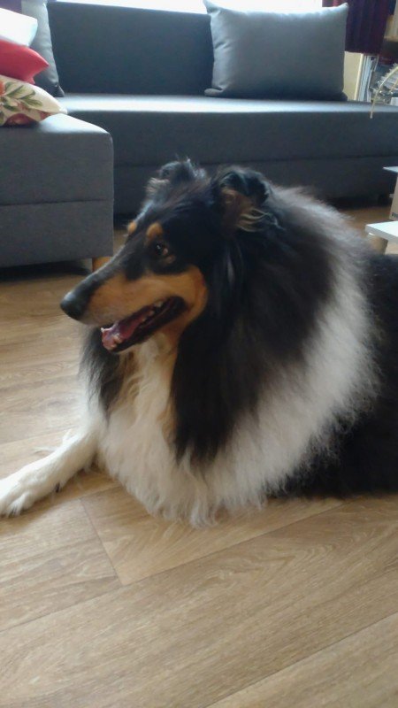 Kira