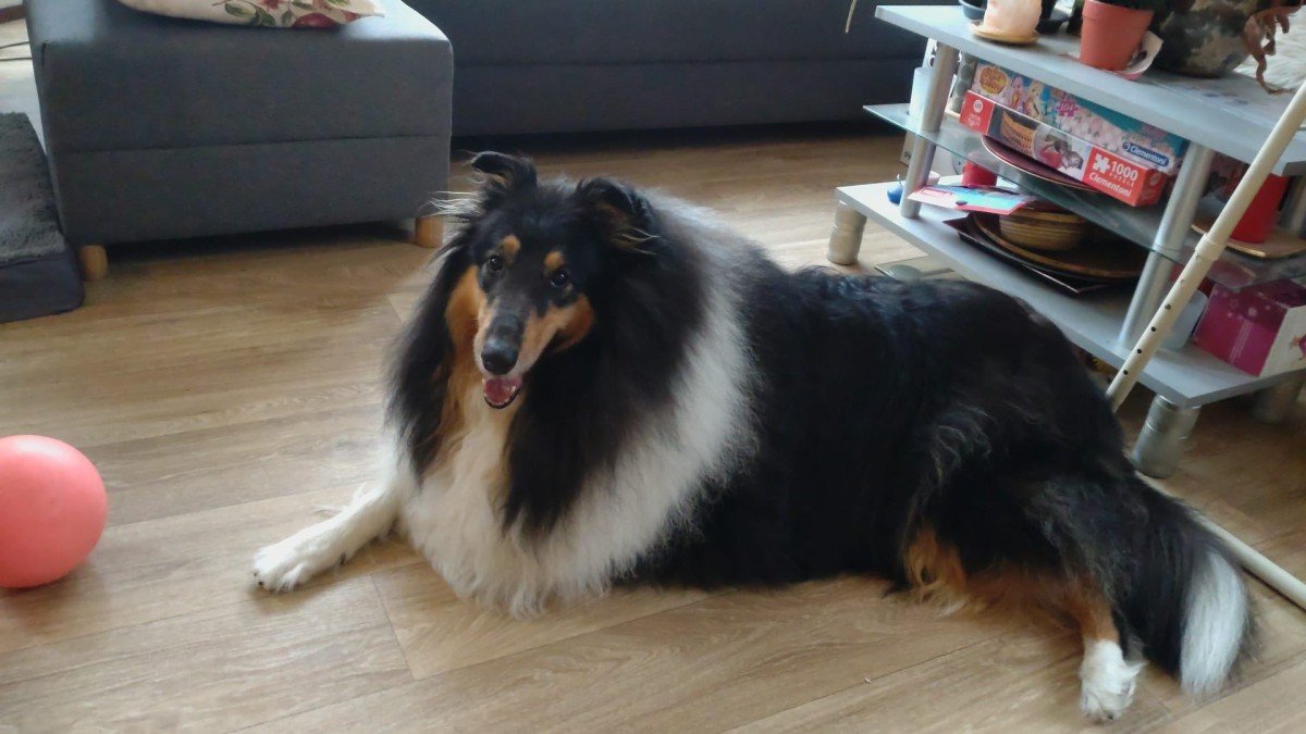 Kira