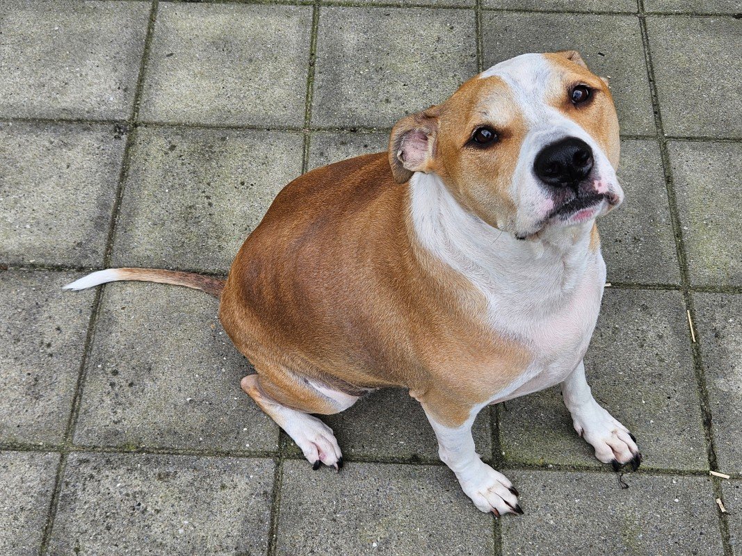 *SPOED* Miep