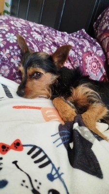 Nucky