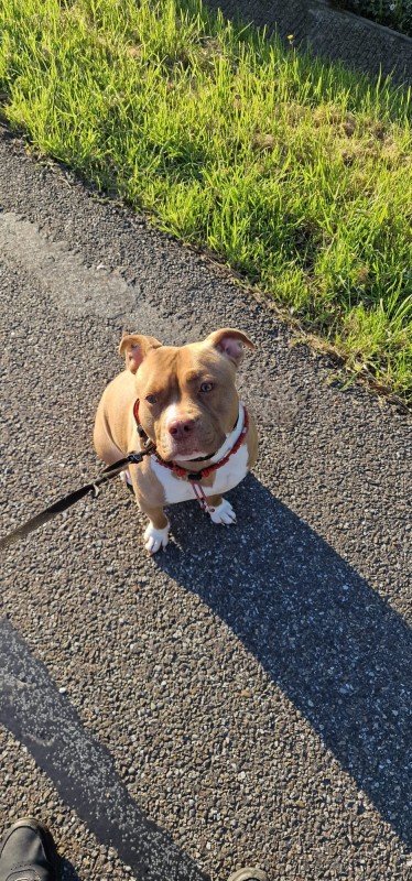 Ruby